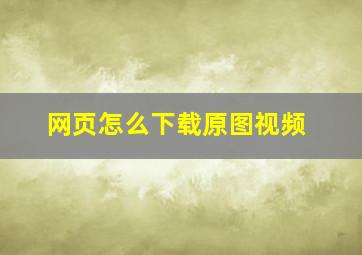 网页怎么下载原图视频