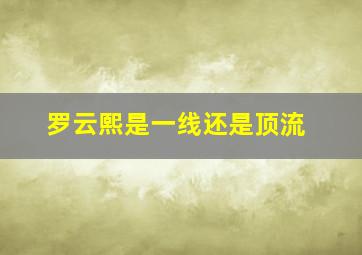 罗云熙是一线还是顶流