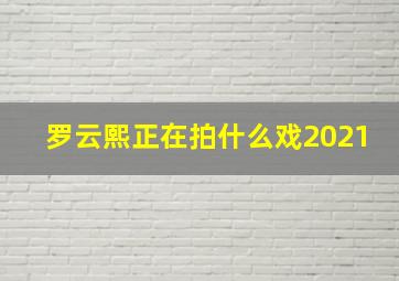 罗云熙正在拍什么戏2021