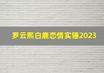 罗云熙白鹿恋情实锤2023