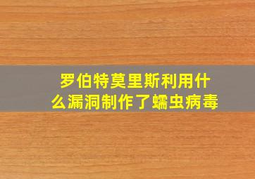 罗伯特莫里斯利用什么漏洞制作了蠕虫病毒