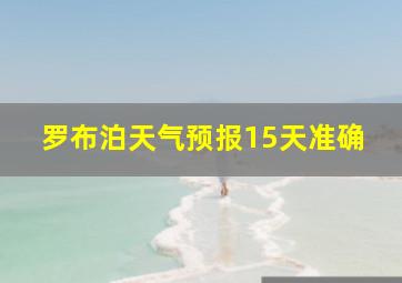 罗布泊天气预报15天准确