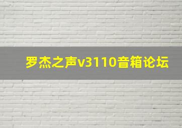 罗杰之声v3110音箱论坛