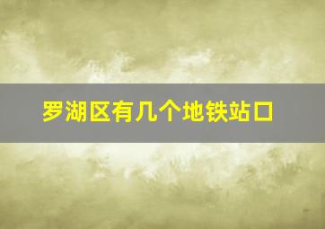 罗湖区有几个地铁站口