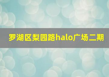 罗湖区梨园路halo广场二期