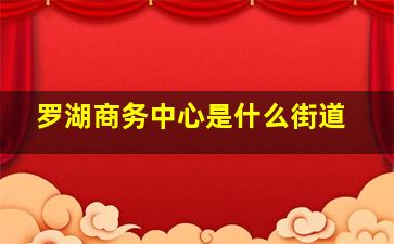 罗湖商务中心是什么街道