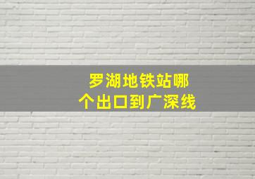 罗湖地铁站哪个出口到广深线