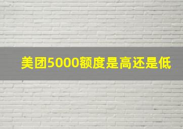 美团5000额度是高还是低