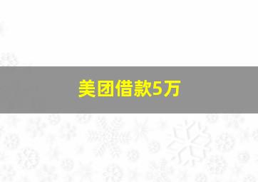 美团借款5万