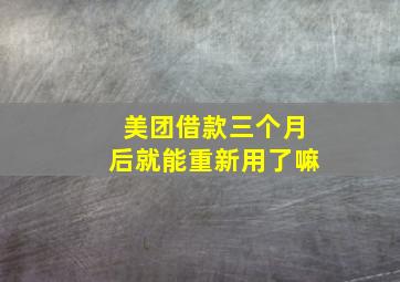 美团借款三个月后就能重新用了嘛