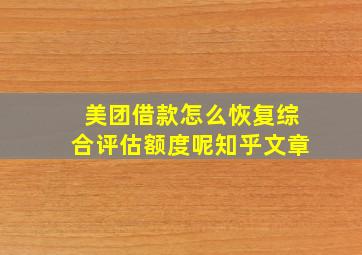 美团借款怎么恢复综合评估额度呢知乎文章