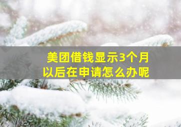 美团借钱显示3个月以后在申请怎么办呢