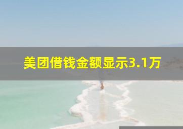 美团借钱金额显示3.1万