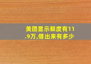 美团显示额度有11.9万,借出来有多少