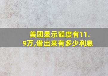 美团显示额度有11.9万,借出来有多少利息