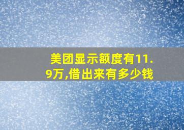 美团显示额度有11.9万,借出来有多少钱