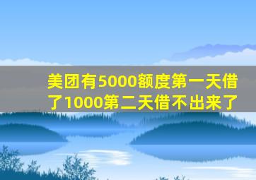 美团有5000额度第一天借了1000第二天借不出来了