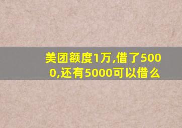 美团额度1万,借了5000,还有5000可以借么