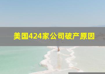 美国424家公司破产原因