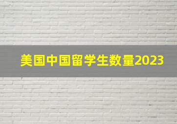 美国中国留学生数量2023