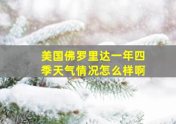 美国佛罗里达一年四季天气情况怎么样啊