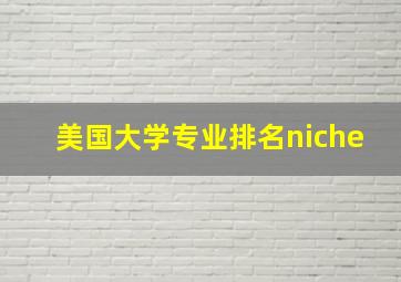 美国大学专业排名niche