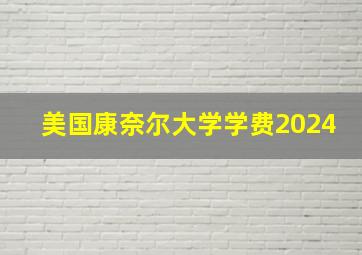 美国康奈尔大学学费2024