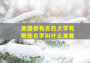 美国很有名的大学有哪些名字叫什么来着