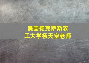 美国德克萨斯农工大学杨天宝老师