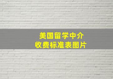 美国留学中介收费标准表图片