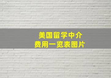 美国留学中介费用一览表图片