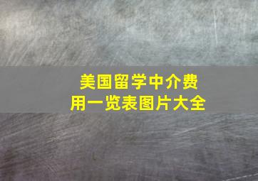 美国留学中介费用一览表图片大全