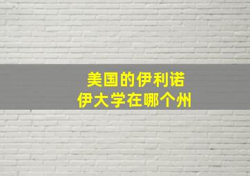 美国的伊利诺伊大学在哪个州