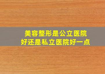 美容整形是公立医院好还是私立医院好一点