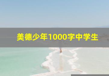 美德少年1000字中学生