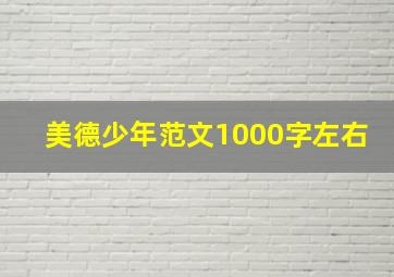 美德少年范文1000字左右