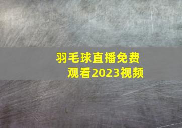 羽毛球直播免费观看2023视频