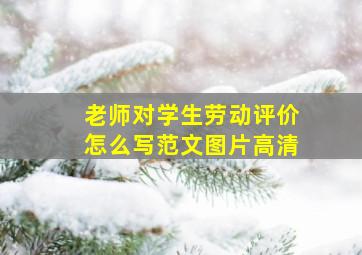 老师对学生劳动评价怎么写范文图片高清