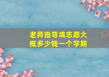 老师指导填志愿大概多少钱一个学期