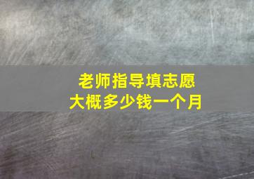 老师指导填志愿大概多少钱一个月