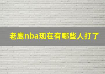 老鹰nba现在有哪些人打了