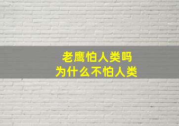 老鹰怕人类吗为什么不怕人类