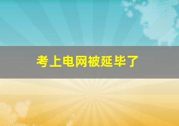 考上电网被延毕了