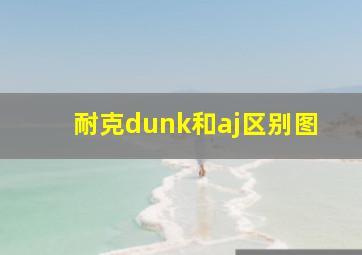 耐克dunk和aj区别图