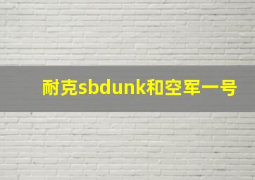 耐克sbdunk和空军一号