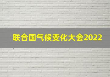 联合国气候变化大会2022