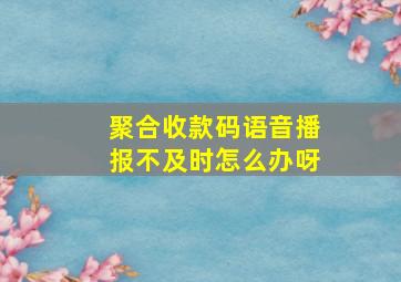 聚合收款码语音播报不及时怎么办呀