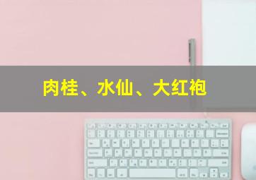 肉桂、水仙、大红袍