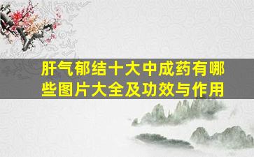 肝气郁结十大中成药有哪些图片大全及功效与作用