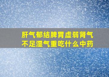 肝气郁结脾胃虚弱肾气不足湿气重吃什么中药